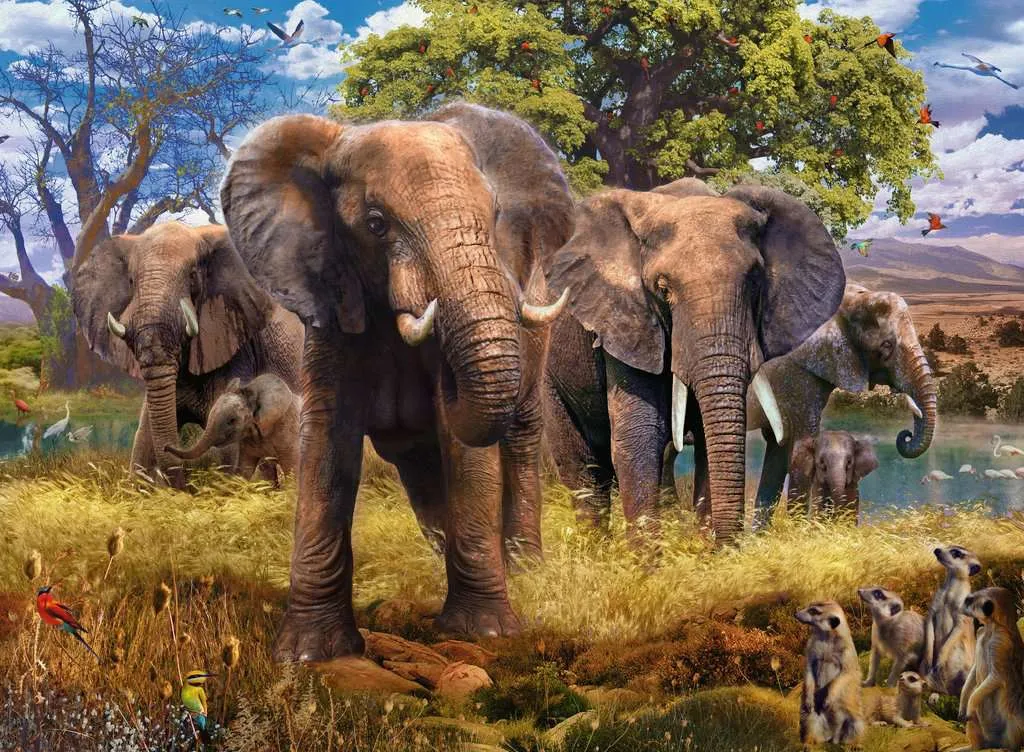 Elephants - 500pc Puzzle