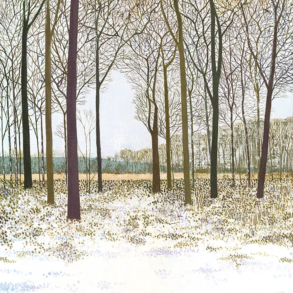 Susan Entwistle Winter Glade Greeting Card