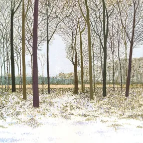 Susan Entwistle Winter Glade Greeting Card